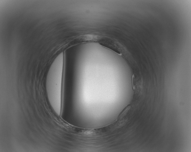 X0000081500325200701121145