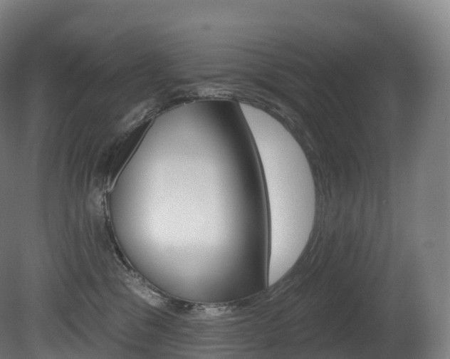 X0000081500329200701121145