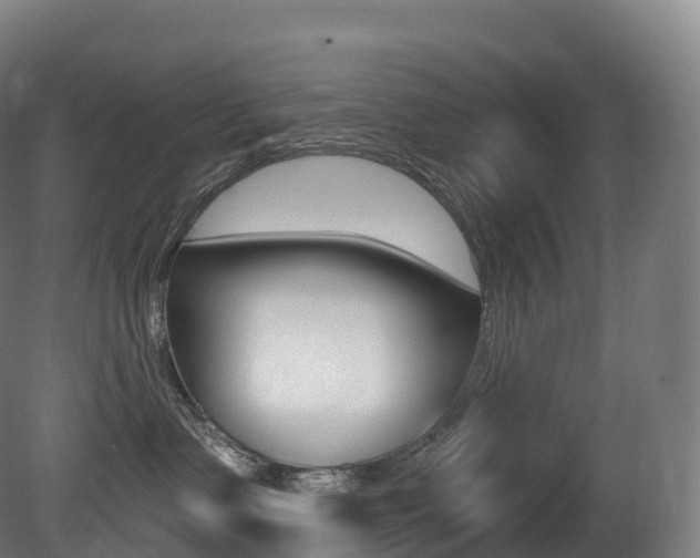 X0000081500335200701121145