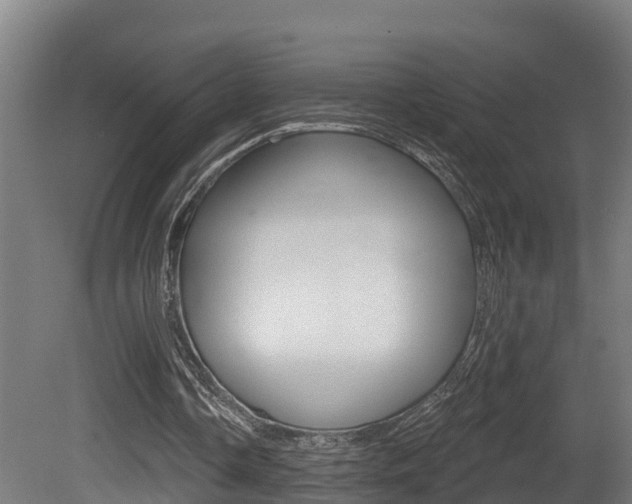X0000081500338200701121144