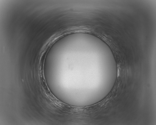 X0000081500339200701121144