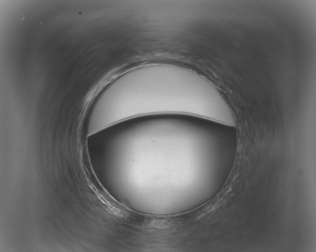 X0000081500341200701121144