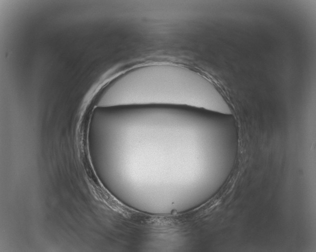 X0000081500343200701121144