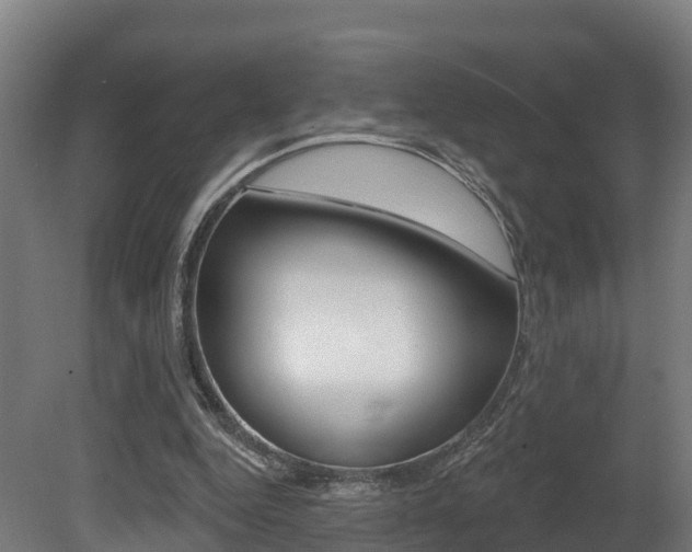 X0000081500344200701121144