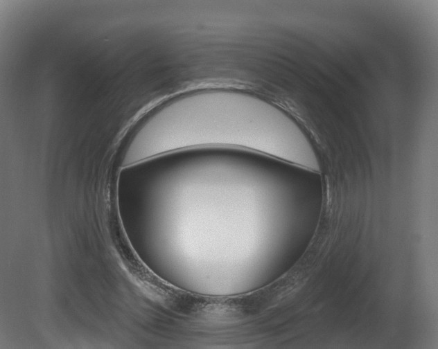 X0000081500348200701121144