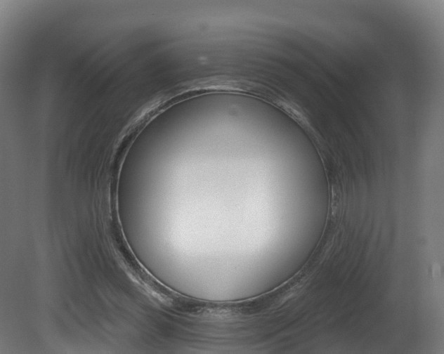 X0000081500349200701121144