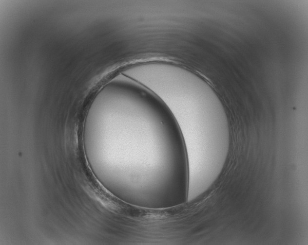 X0000081500350200701121144