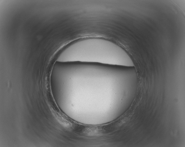 X0000081500351200701121144