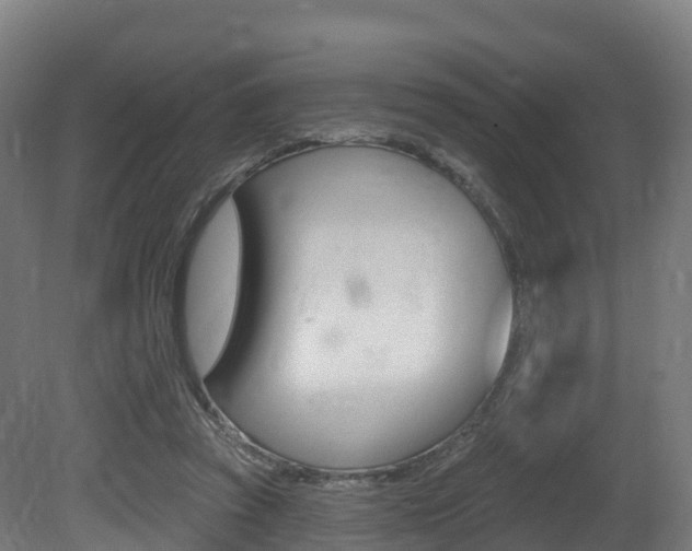 X0000081500353200701121144