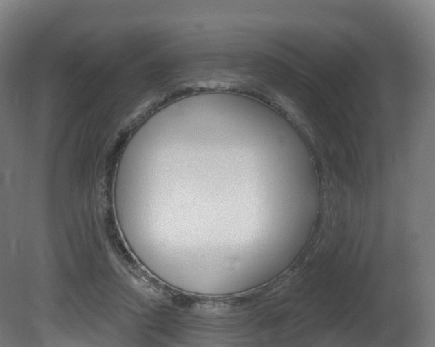 X0000081500354200701121145