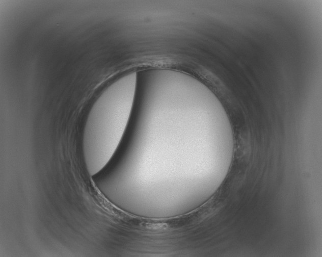 X0000081500355200701121145