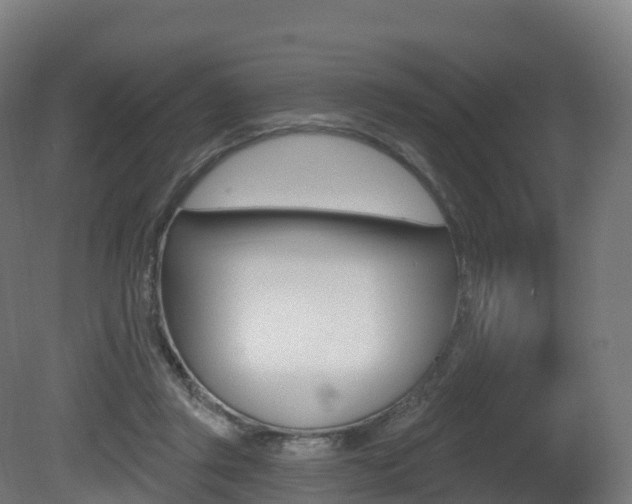 X0000081500357200701121145