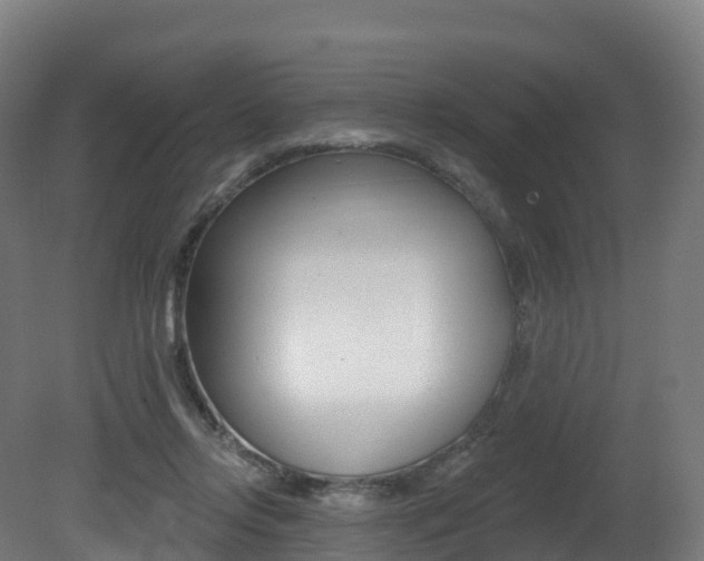 X0000081500358200701121145