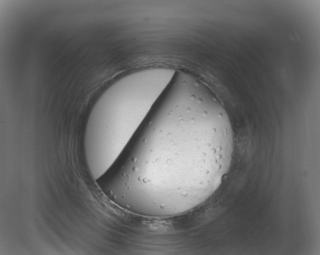 X0000081500359200701121145