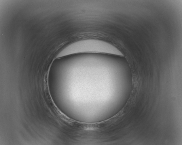 X0000081500360200701121145
