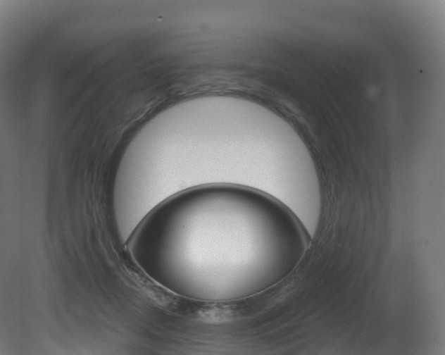 X0000081500362200701121145