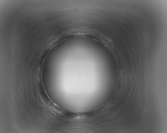 X0000081500364200701121145