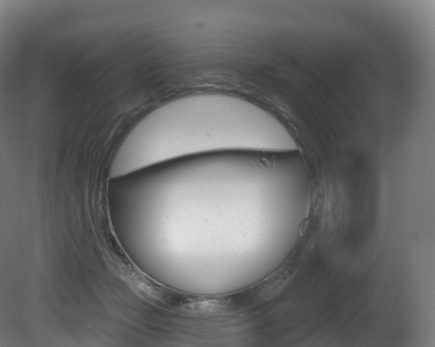 X0000081500365200701121145