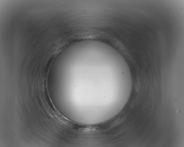 X0000081500366200701121145