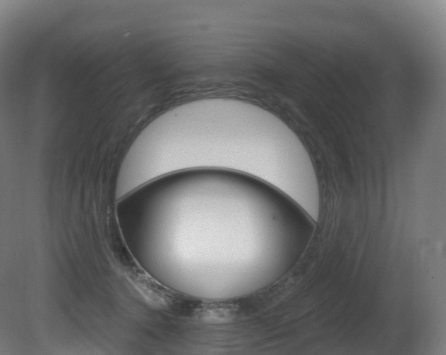 X0000081500368200701121145