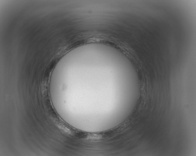 X0000081500369200701121145
