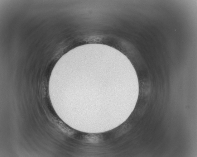 X0000081500370200701121145
