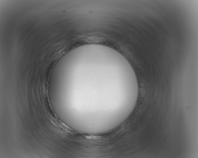 X0000081500371200701121145