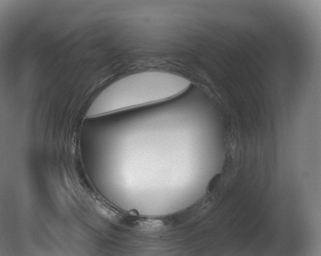 X0000081500374200701121145