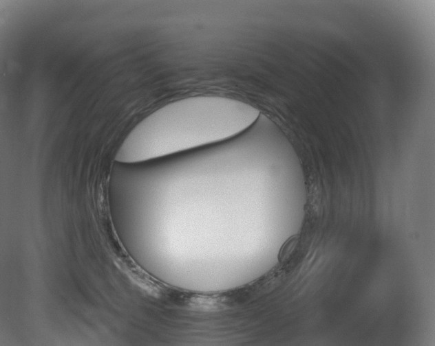 X0000081500375200701121145
