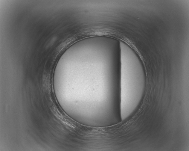 X0000081500386200701121144
