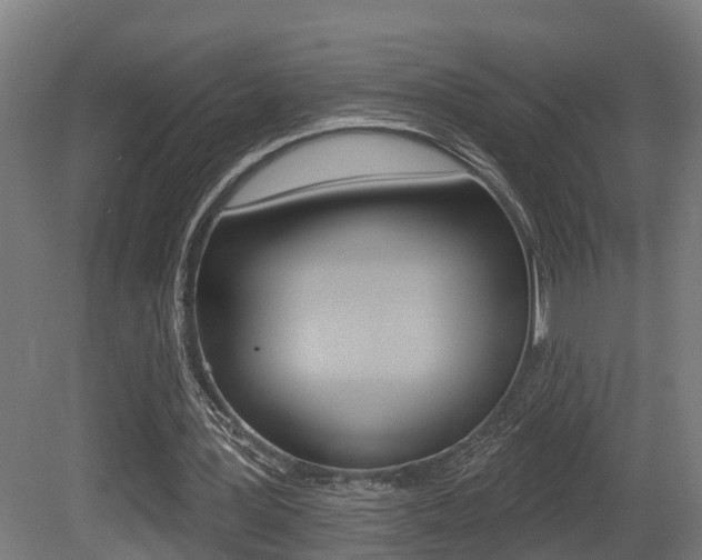 X0000081500387200701121144