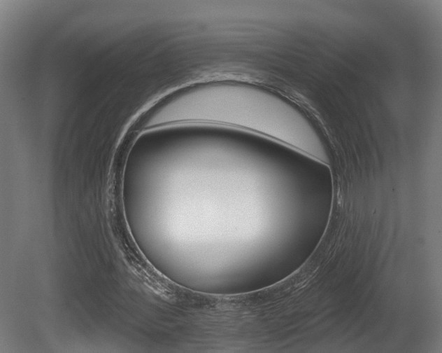 X0000081500388200701121144