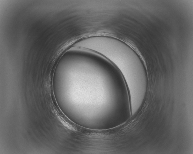 X0000081500389200701121144