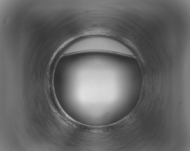 X0000081500392200701121144