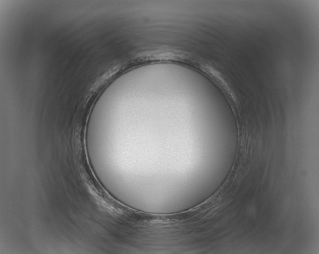 X0000081500394200701121144