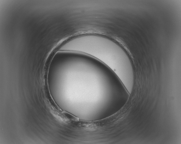 X0000081500395200701121144