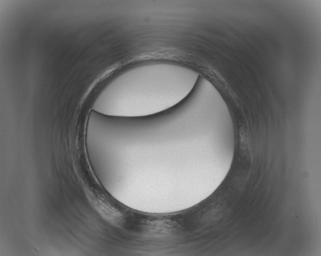 X0000081500396200701121144