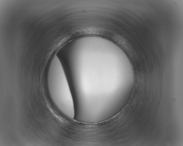 X0000081500398200701121144