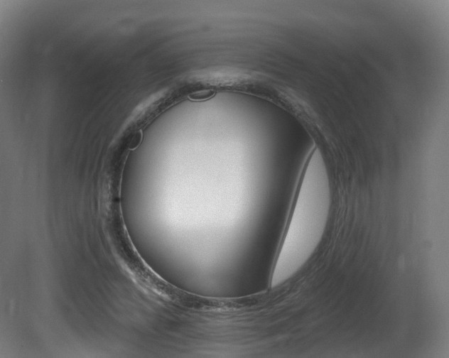 X0000081500400200701121144