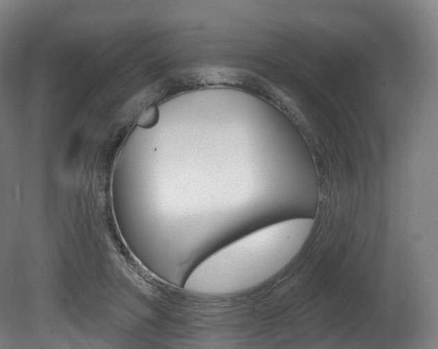 X0000081500402200701121144