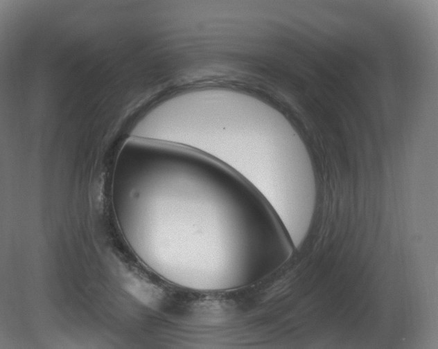X0000081500404200701121144