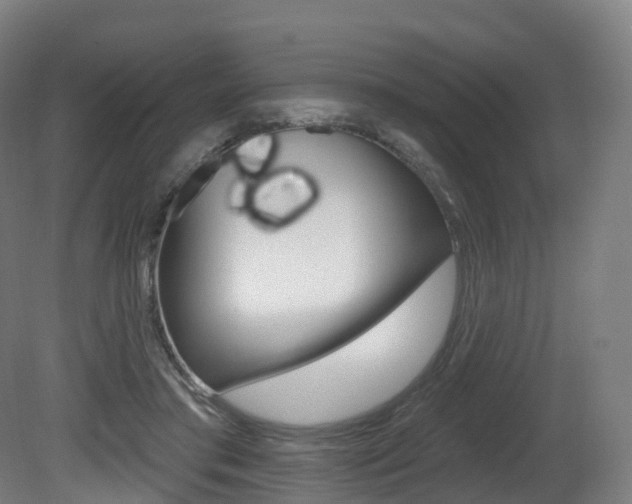 X0000081500405200701121144