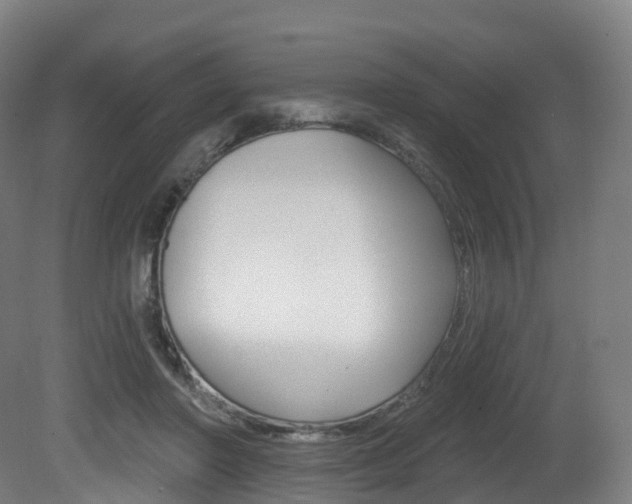 X0000081500406200701121144
