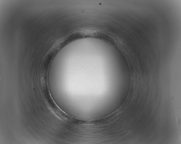 X0000081500408200701121144