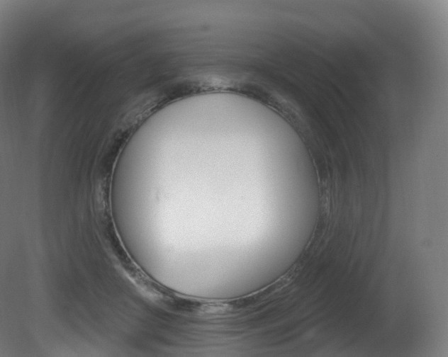 X0000081500410200701121144