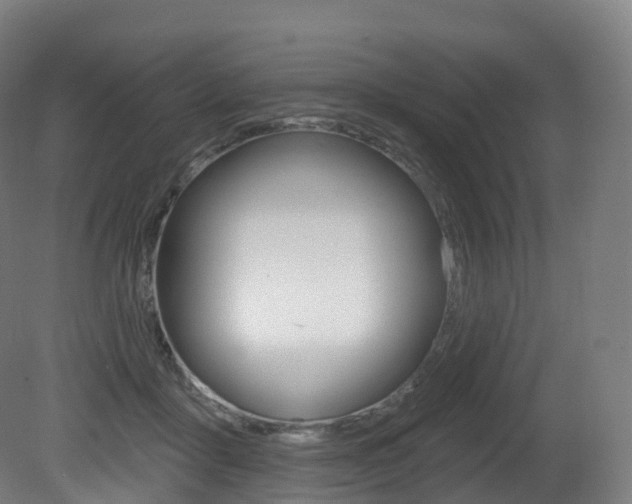 X0000081500411200701121144