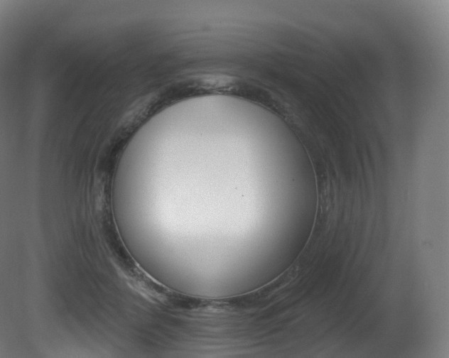X0000081500412200701121144