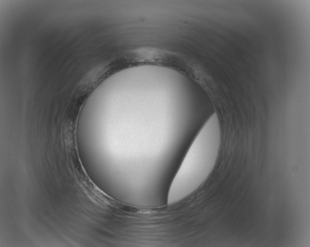 X0000081500413200701121144