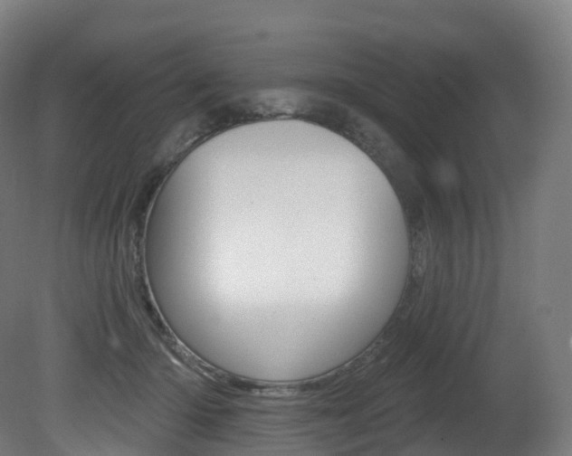 X0000081500414200701121144