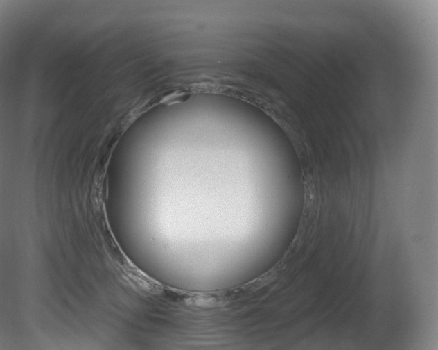 X0000081500419200701121144